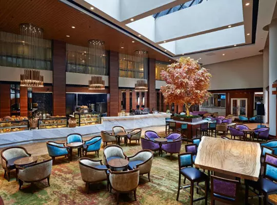 concordehotel4 concordehotel4
