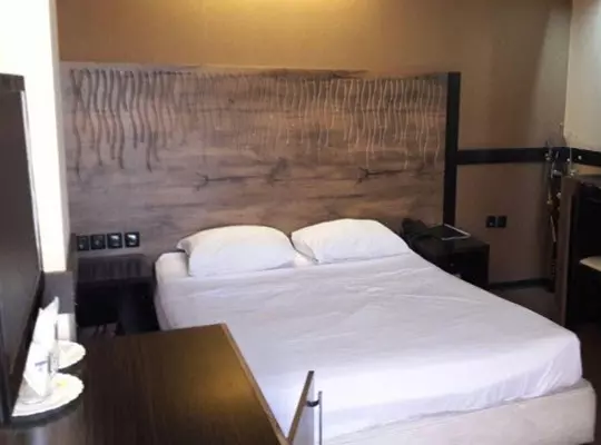 apadanahotel1 apadanahotel1